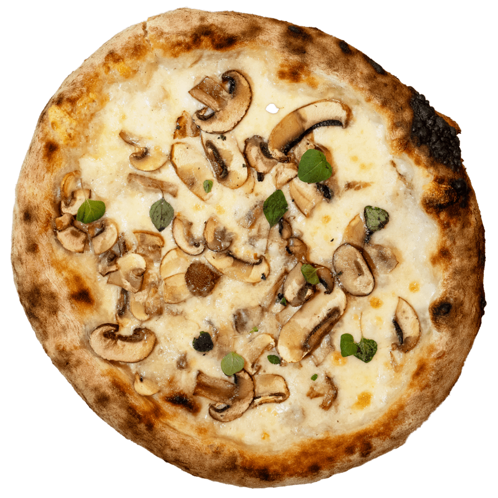Funghi